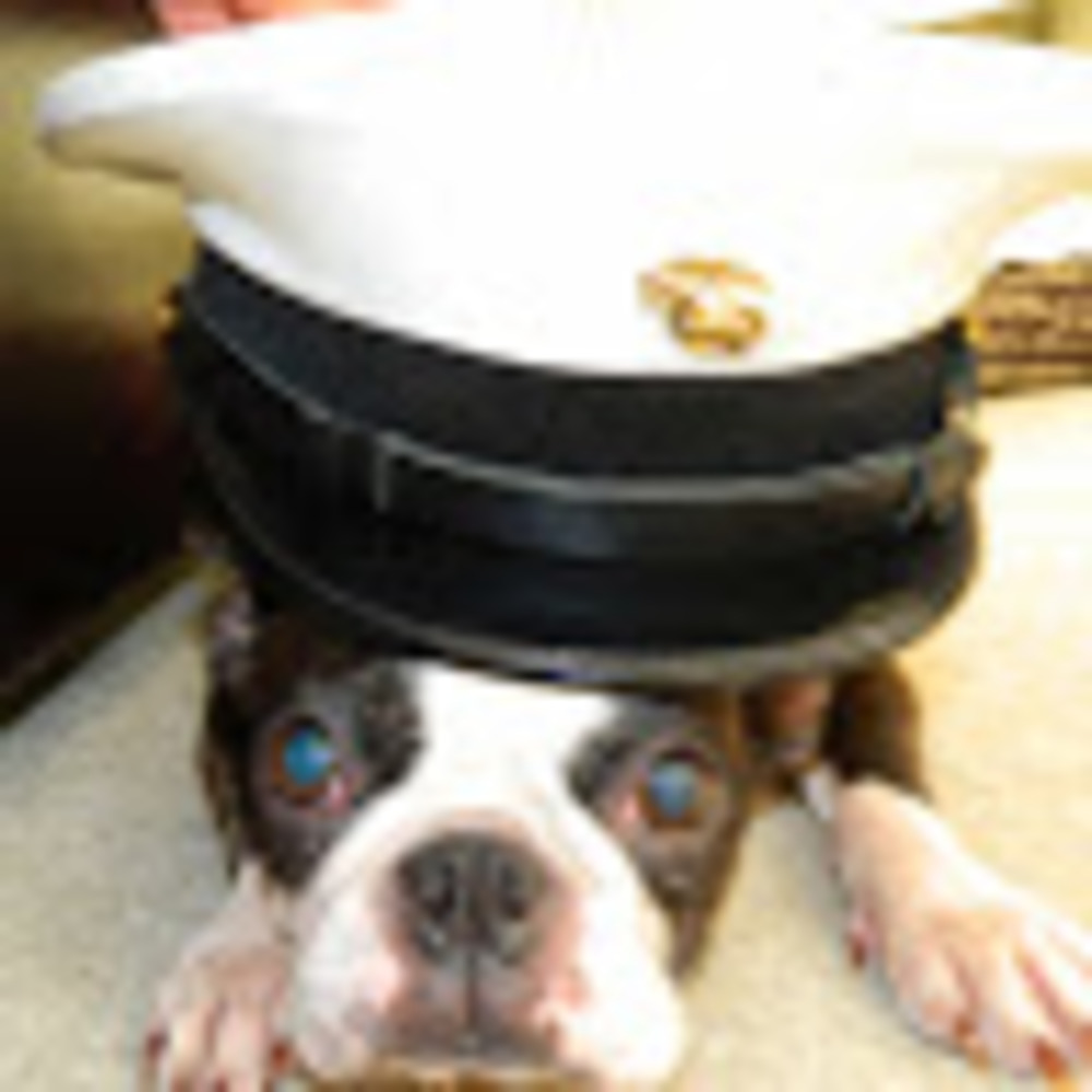 Meet your Posher, Ni